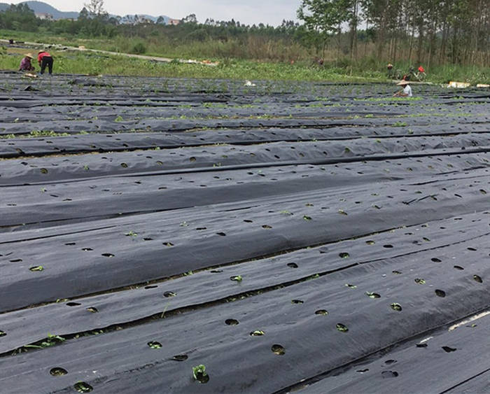 土工膜與混凝土鏈接時的要求